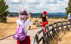 张柏芝大荫蒂毛茸茸
